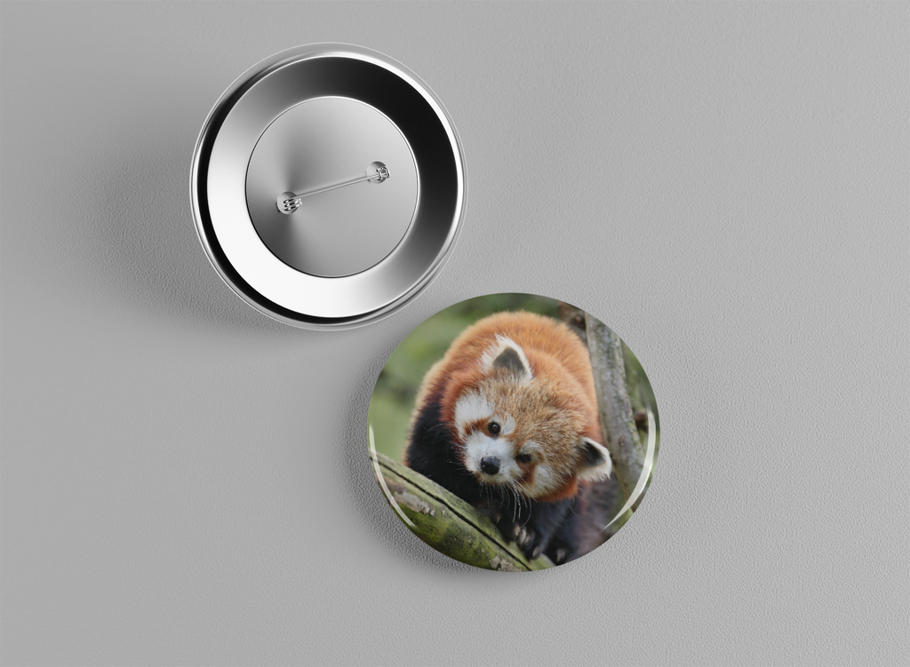 Badge animaux