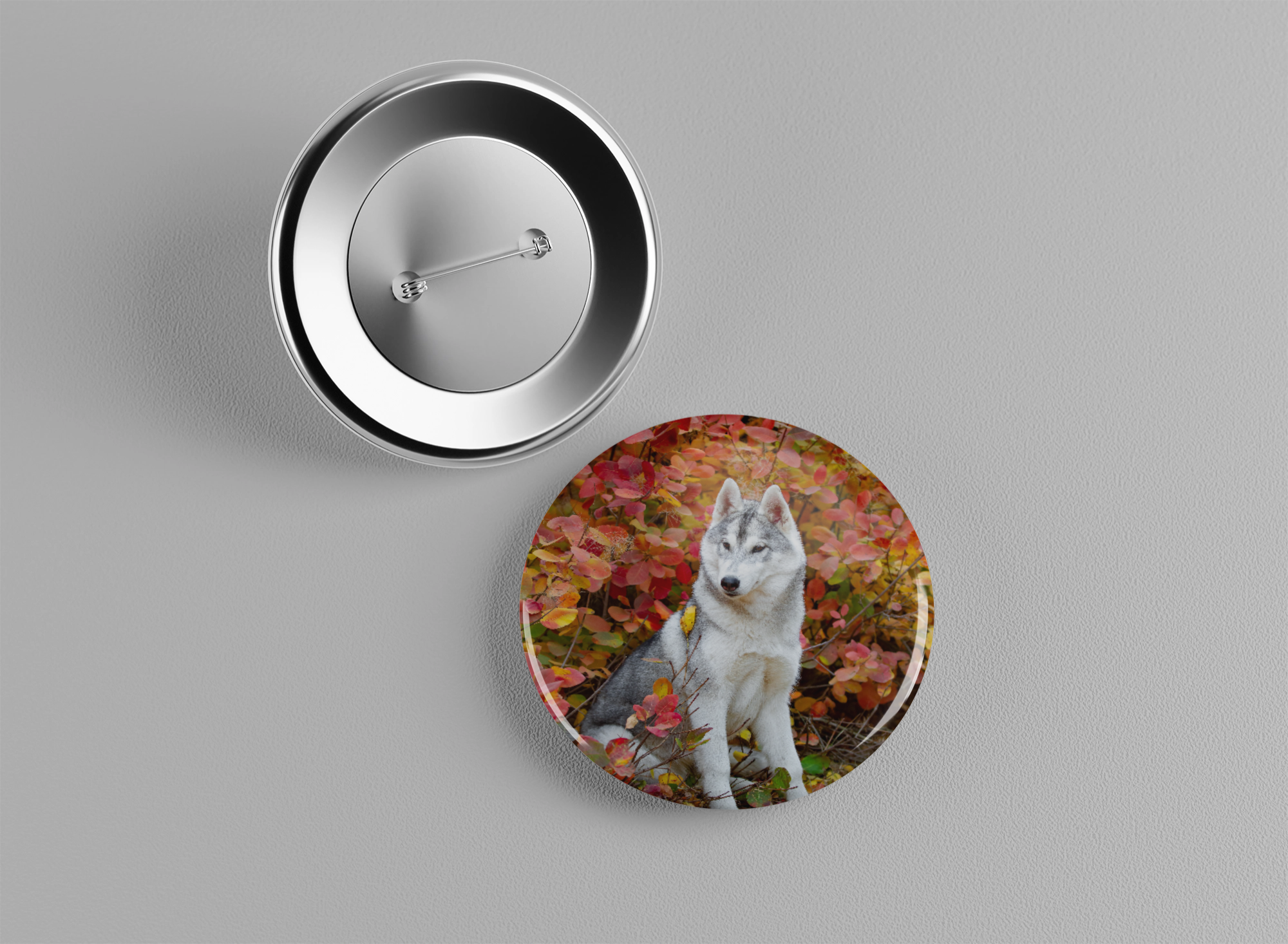 Badge animaux