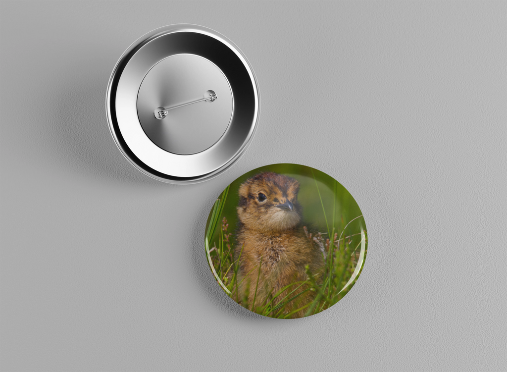 Badge animaux