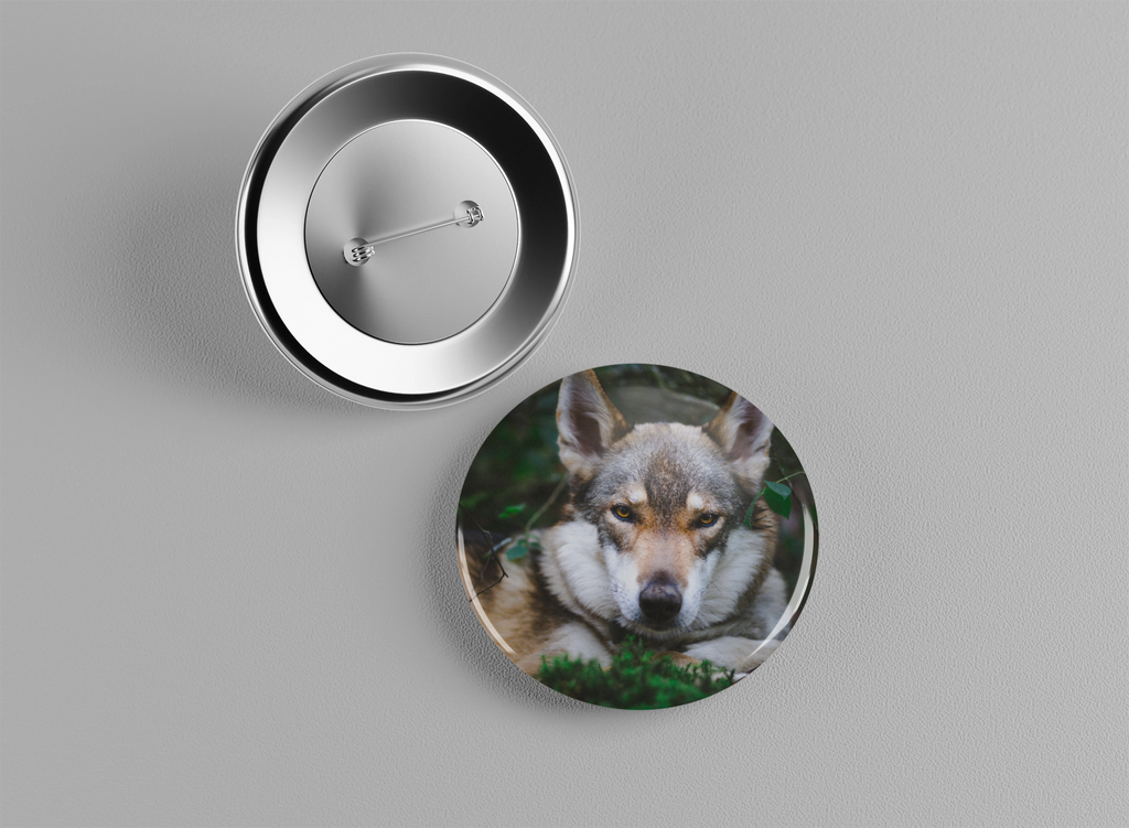 Badge animaux