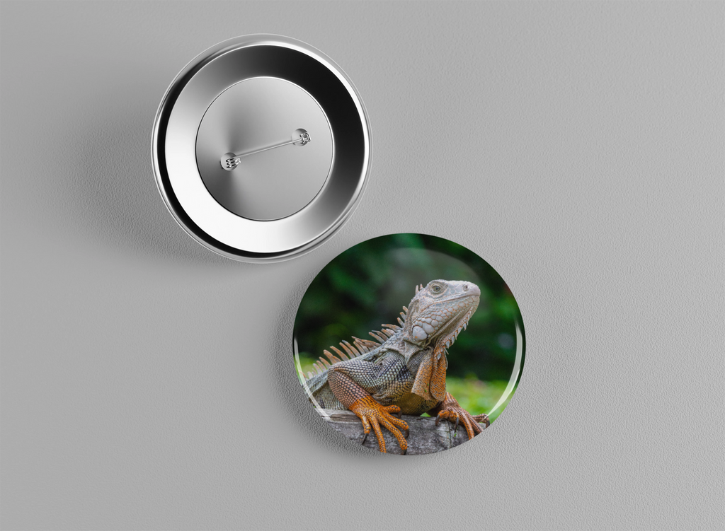 Badge animaux