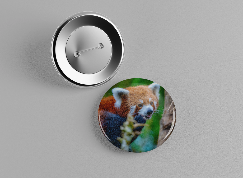 Badge animaux